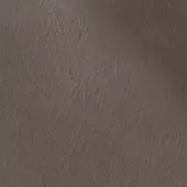 2426118 - BRUNO